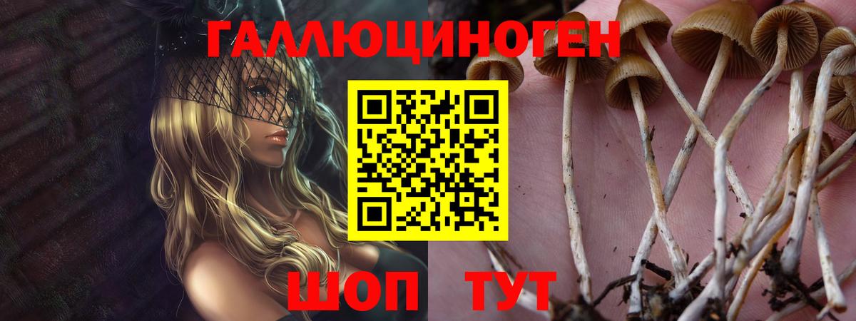 Ахтубинск  Галлюциногенные грибы мухоморы  наркошоп  Псилоцибиновые грибы Psilocybine cubensis  Вход с VPN 